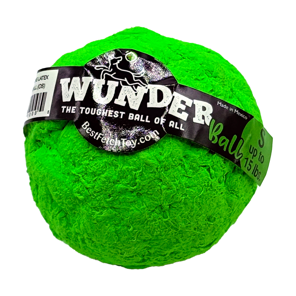 WUNDERball Fetch Toy for Dogs