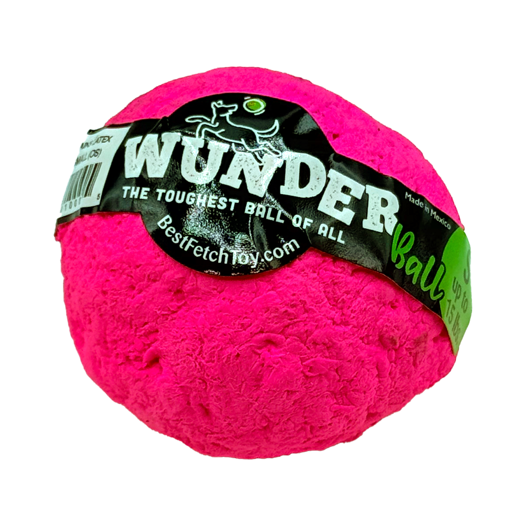 WUNDERball Fetch Toy for Dogs