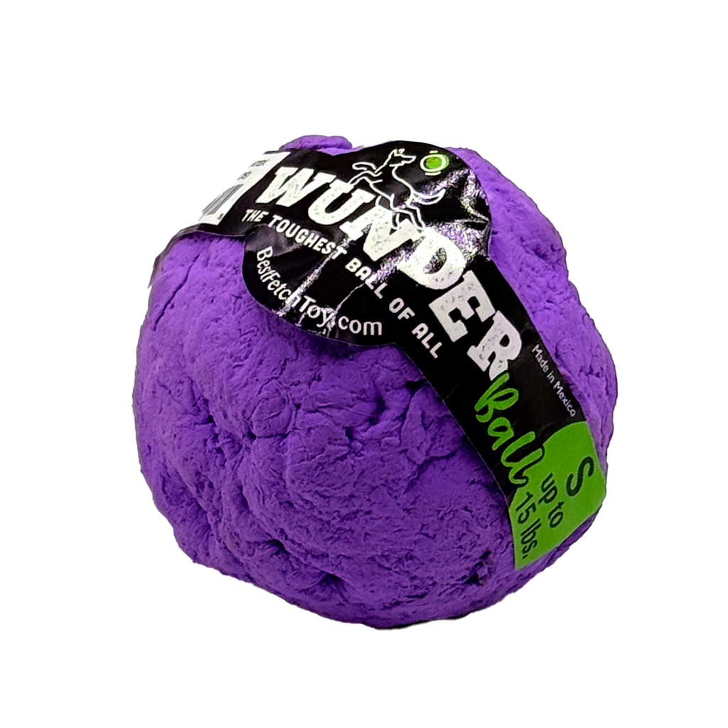 WUNDERball Fetch Toy for Dogs