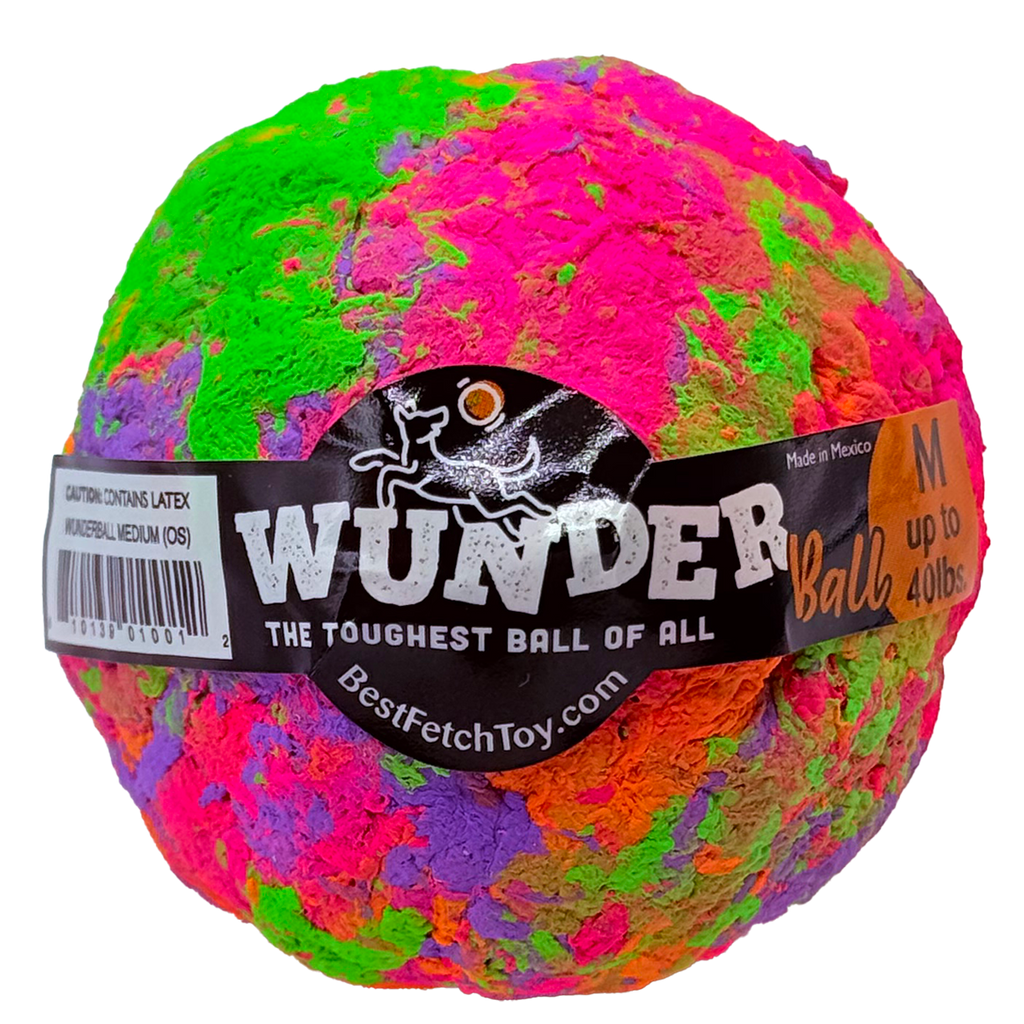 WUNDERball Fetch Toy for Dogs
