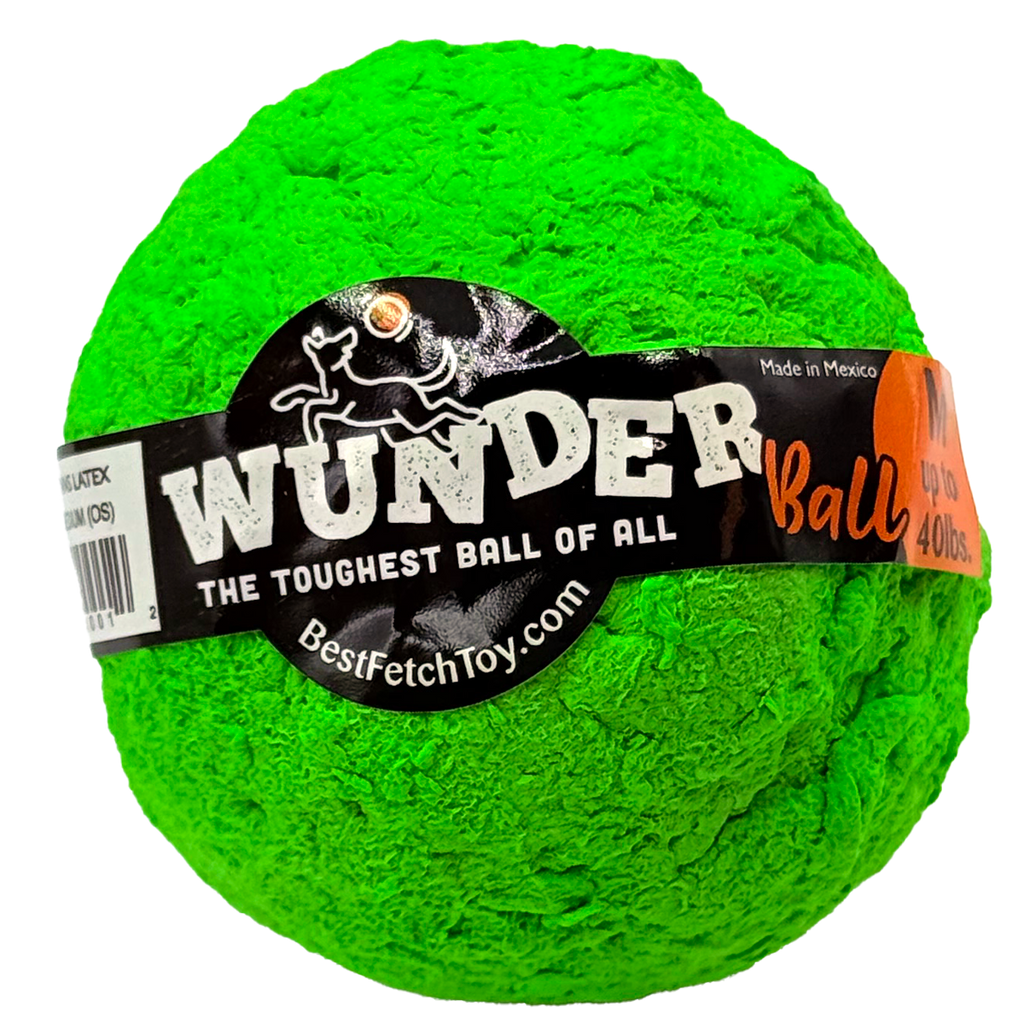 WUNDERball Fetch Toy for Dogs
