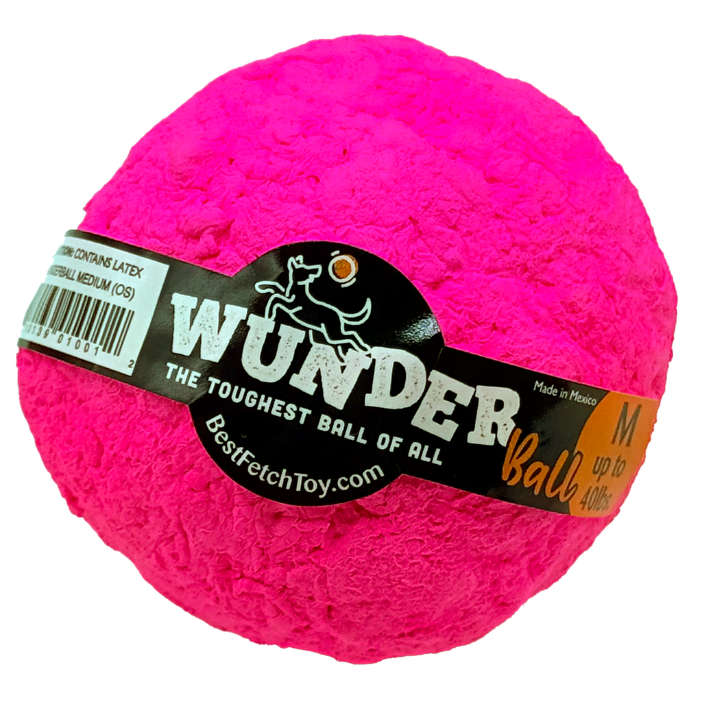 WUNDERball Fetch Toy for Dogs