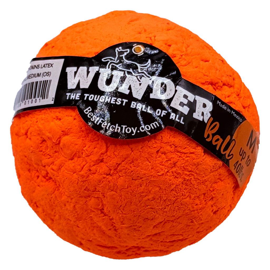 WUNDERball Fetch Toy for Dogs