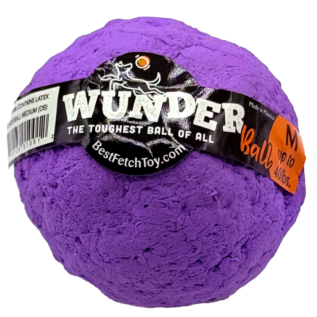 WUNDERball Fetch Toy for Dogs