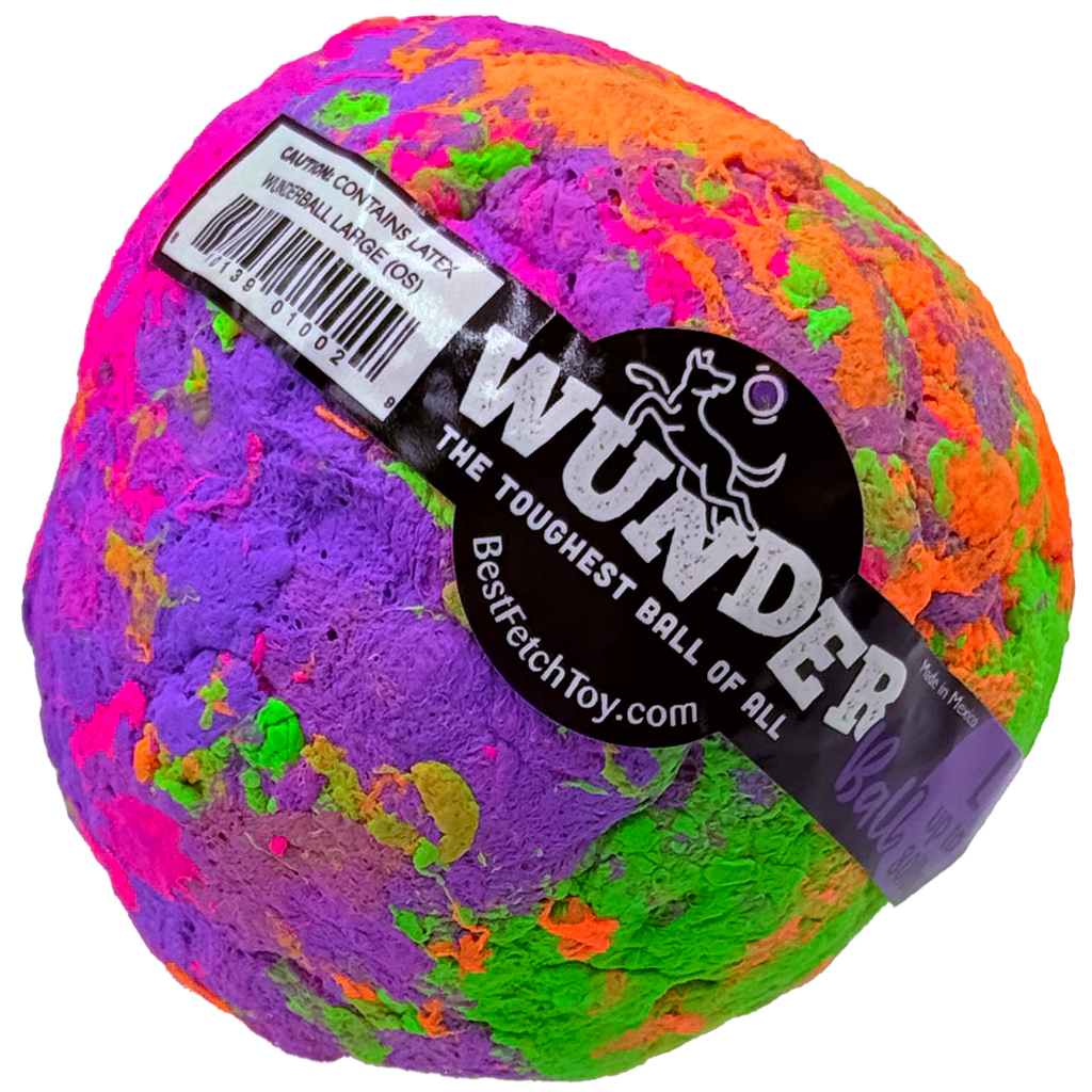 WUNDERball Fetch Toy for Dogs