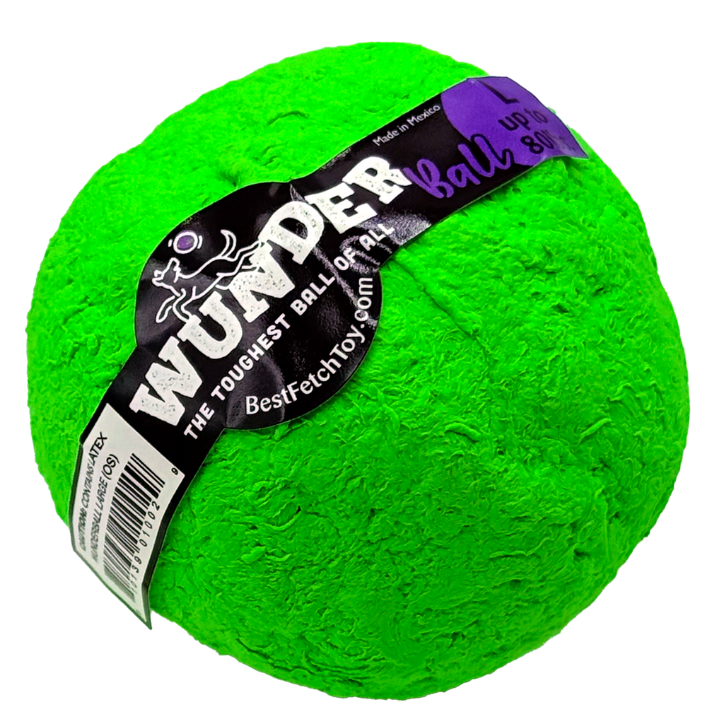 WUNDERball Fetch Toy for Dogs