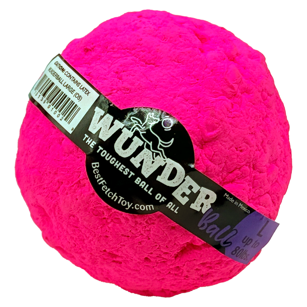 WUNDERball Fetch Toy for Dogs