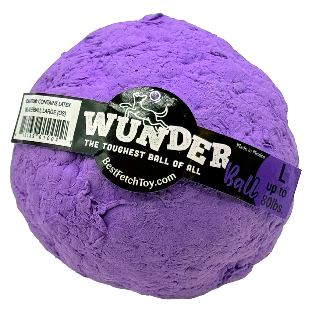 WUNDERball Fetch Toy for Dogs