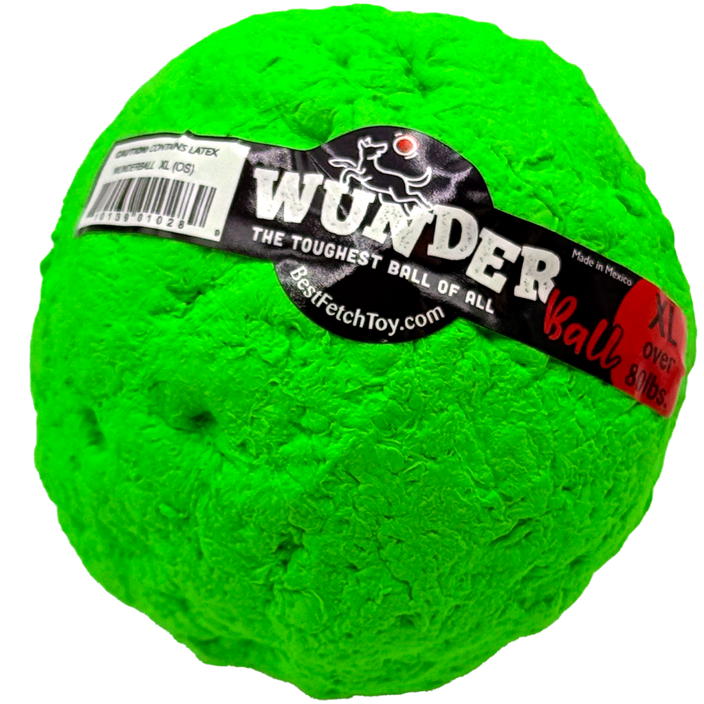 WUNDERball Fetch Toy for Dogs