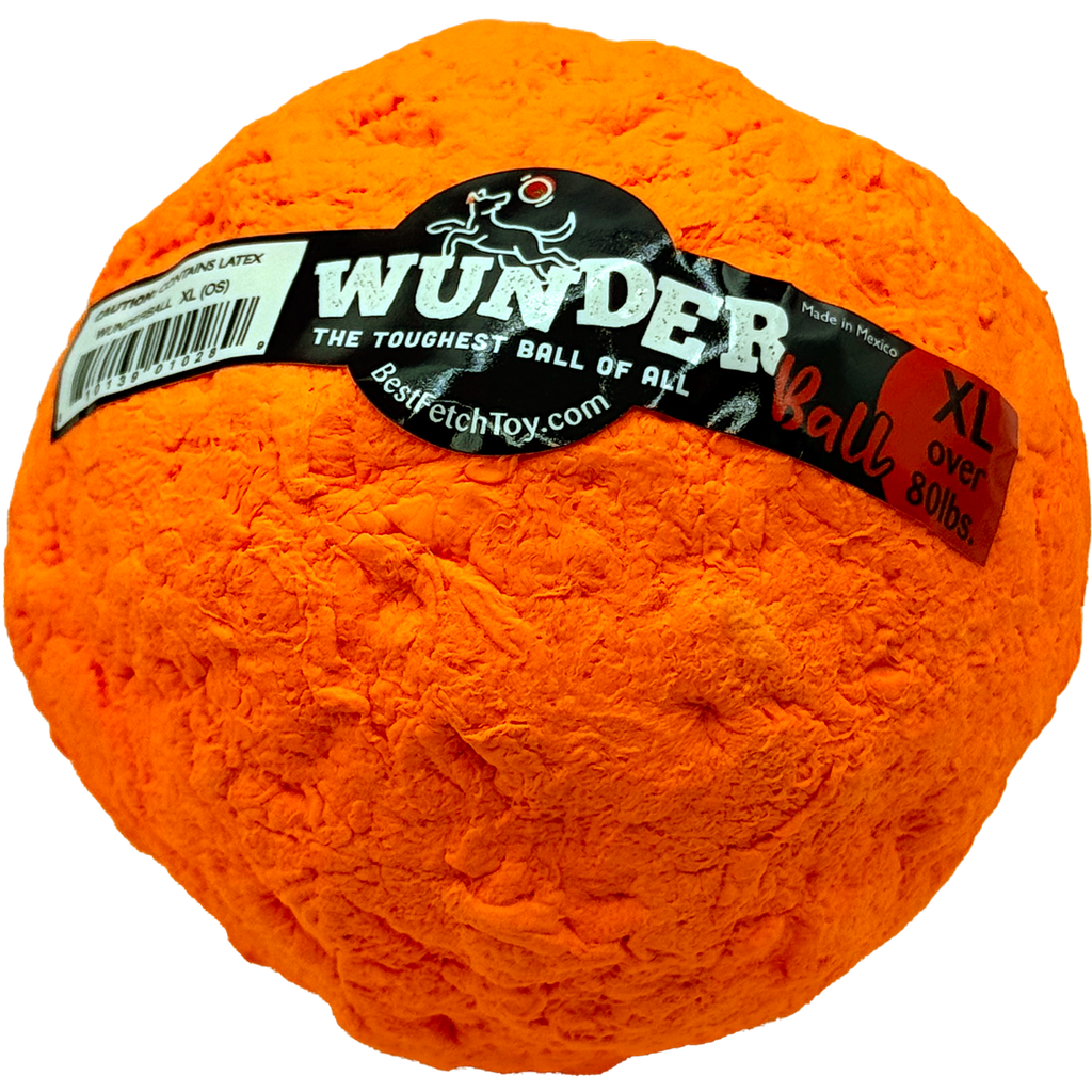 WUNDERball Fetch Toy for Dogs