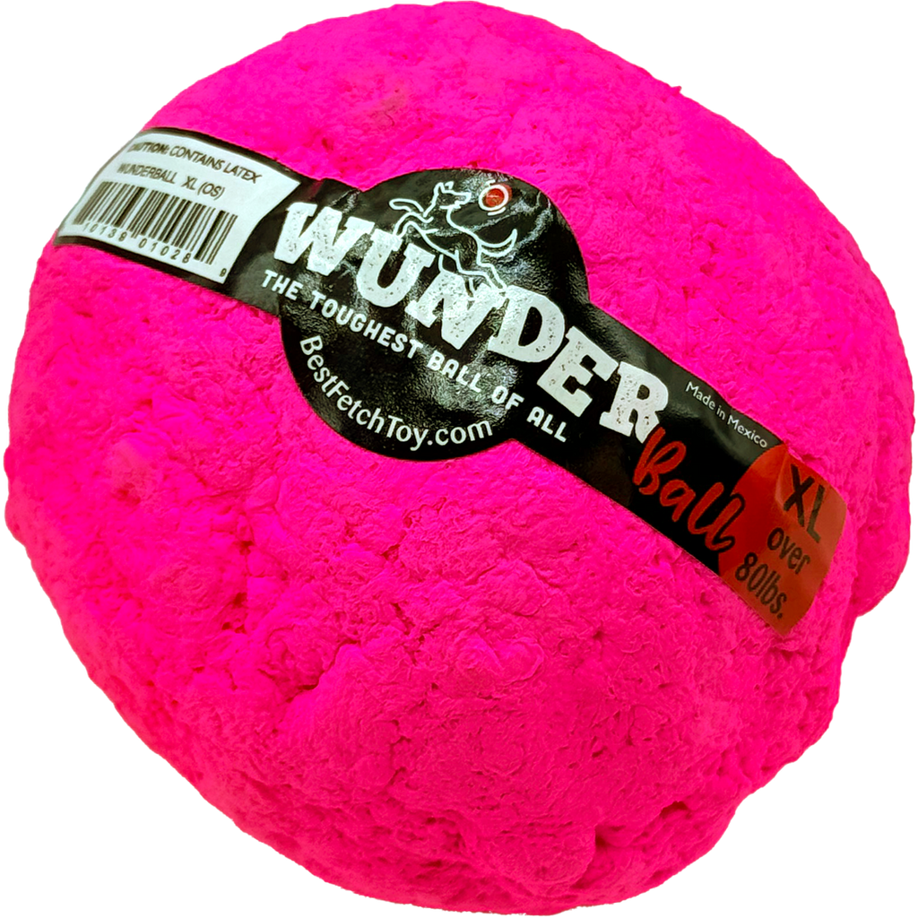 WUNDERball Fetch Toy for Dogs