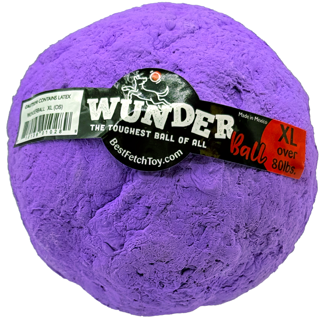 WUNDERball Fetch Toy for Dogs