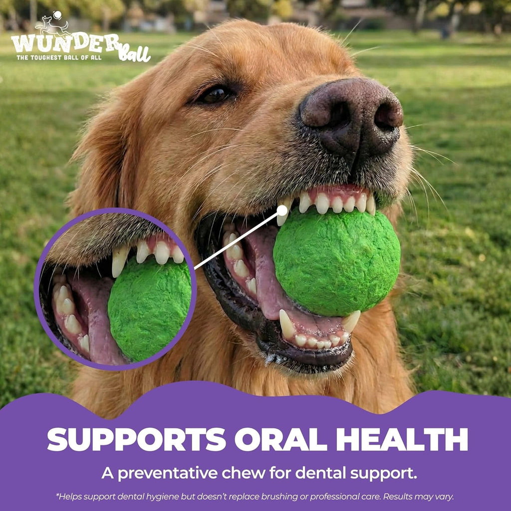 WUNDERball Fetch Toy for Dogs