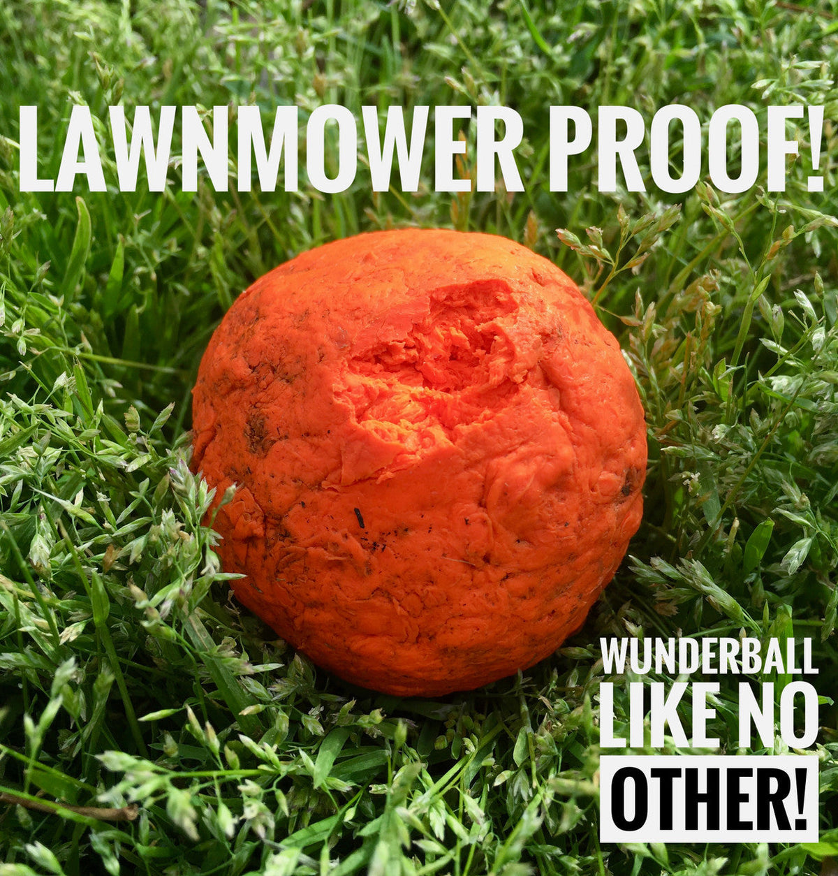 WUNDERball Fetch Toy for Dogs