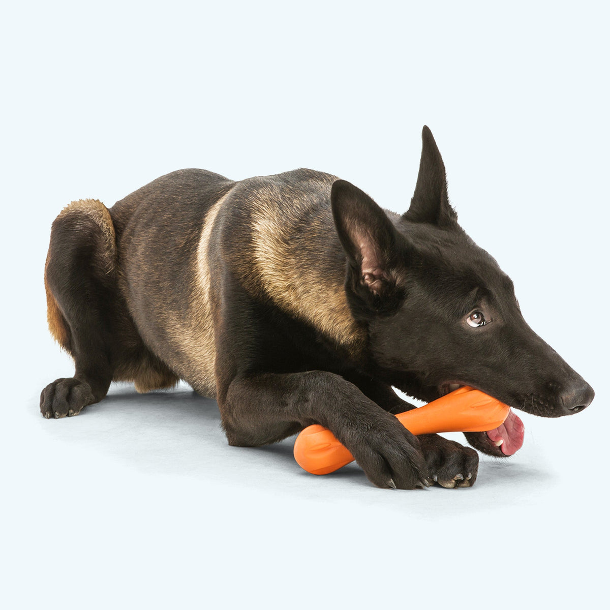 West Paw Hurley Durable Dog Chew Toy