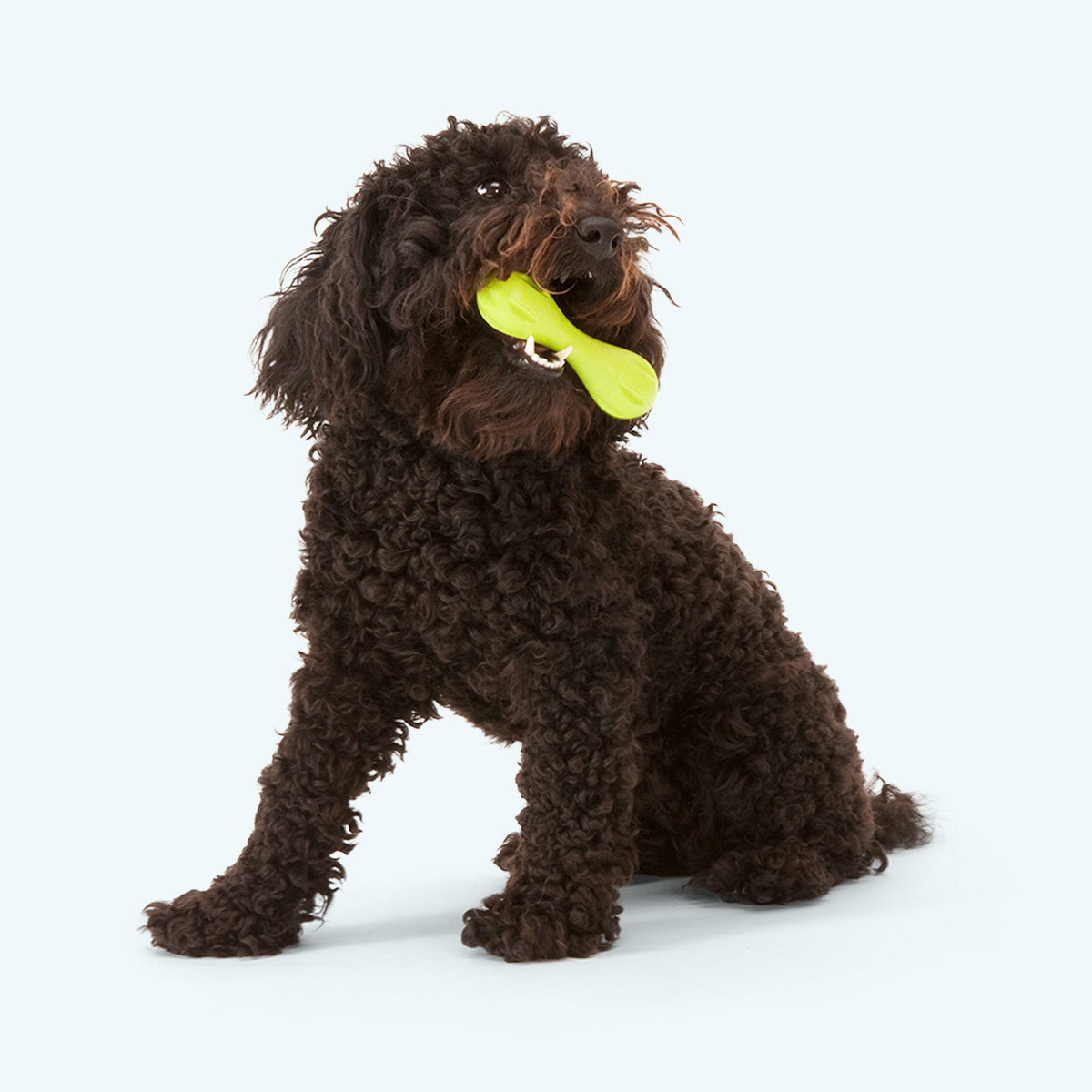 West Paw Hurley Durable Dog Chew Toy