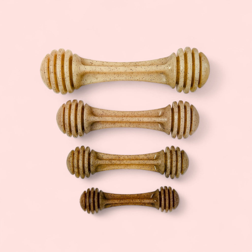 SodaPup Honey Bone Nylon Chew Toy (USA Made)