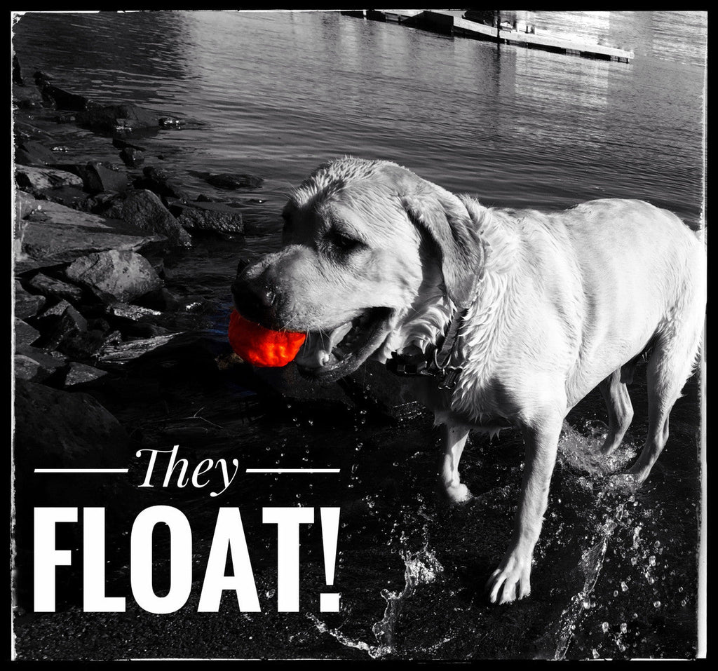 WUNDERball Fetch Toy for Dogs