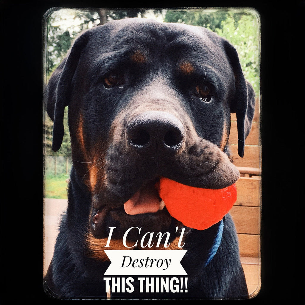 WUNDERball Fetch Toy for Dogs