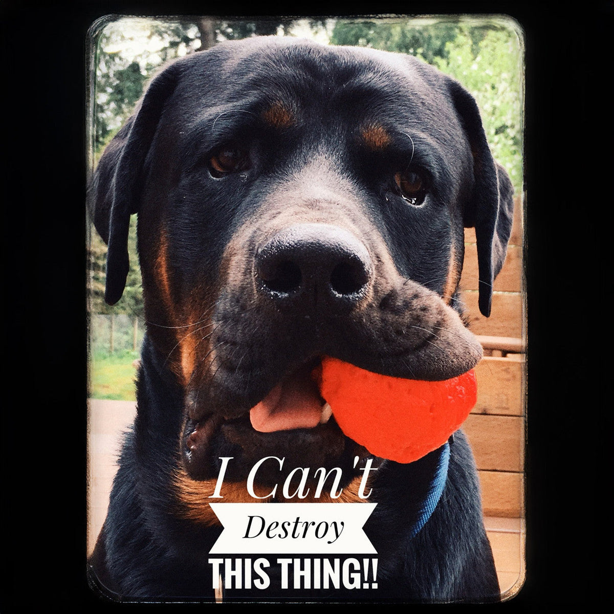 WUNDERball Fetch Toy for Dogs