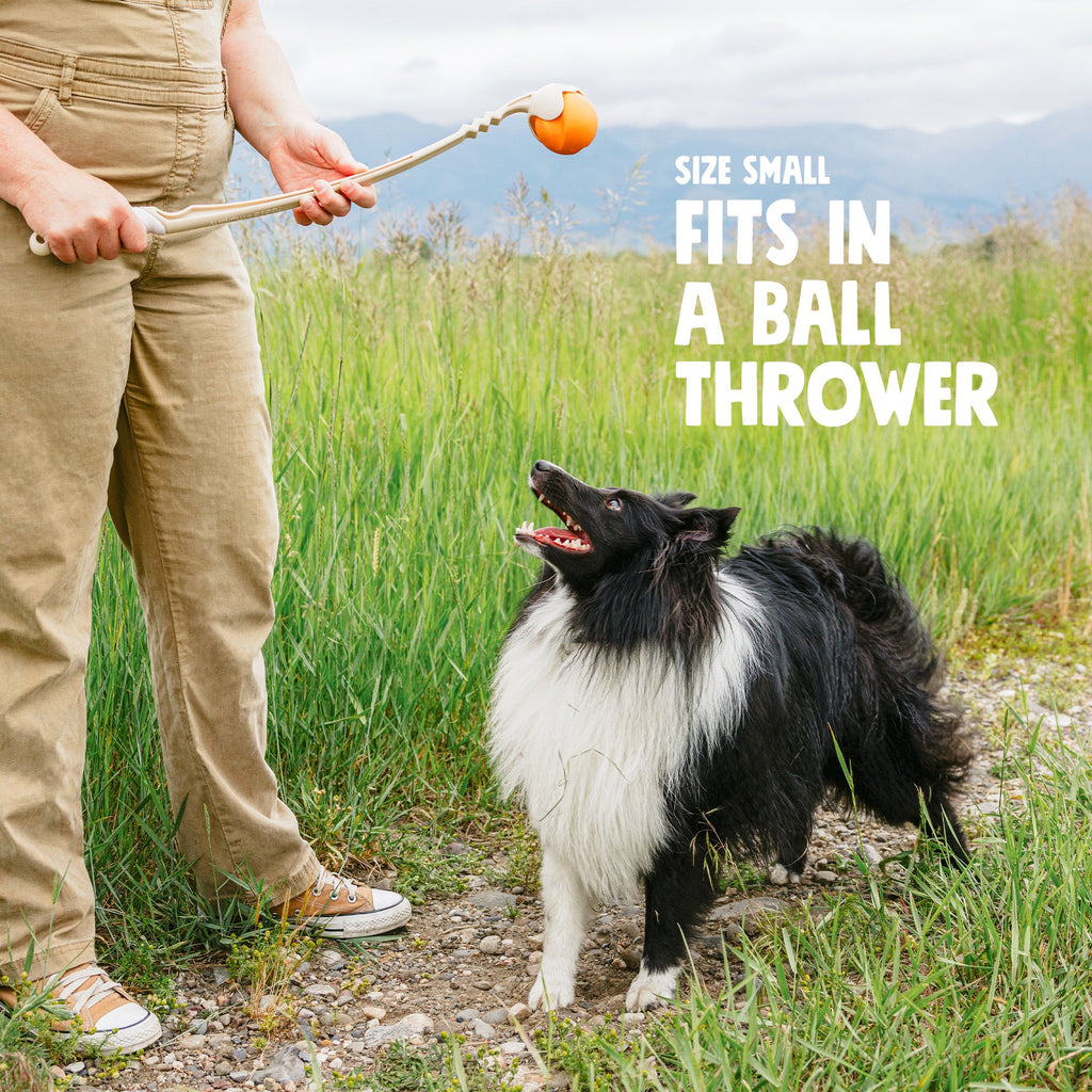 West Paw Jive Durable Dog Ball