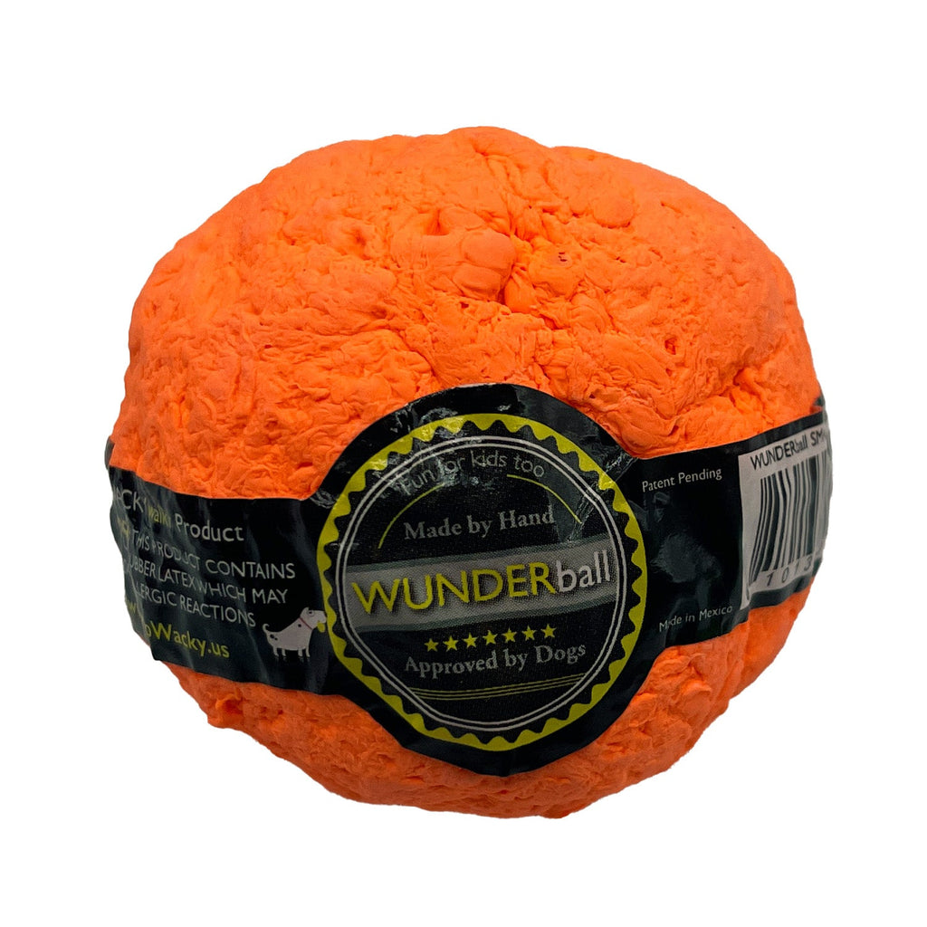 WUNDERball Fetch Toy for Dogs