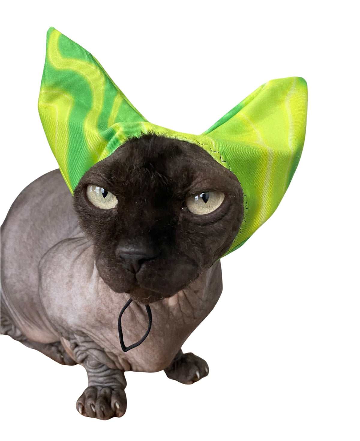 Pet Shower, Ear & Sun Cap