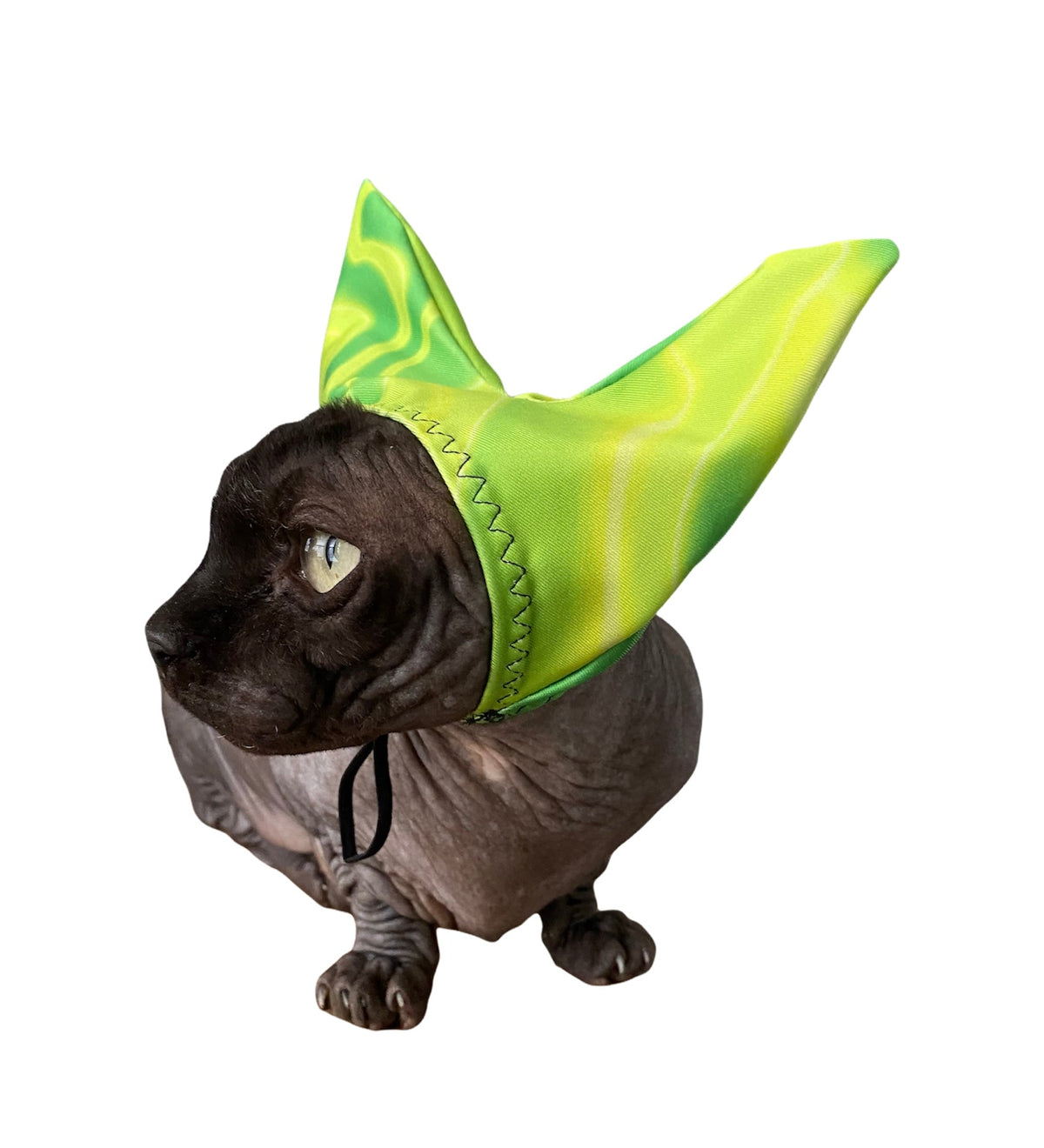 Pet Shower, Ear & Sun Cap
