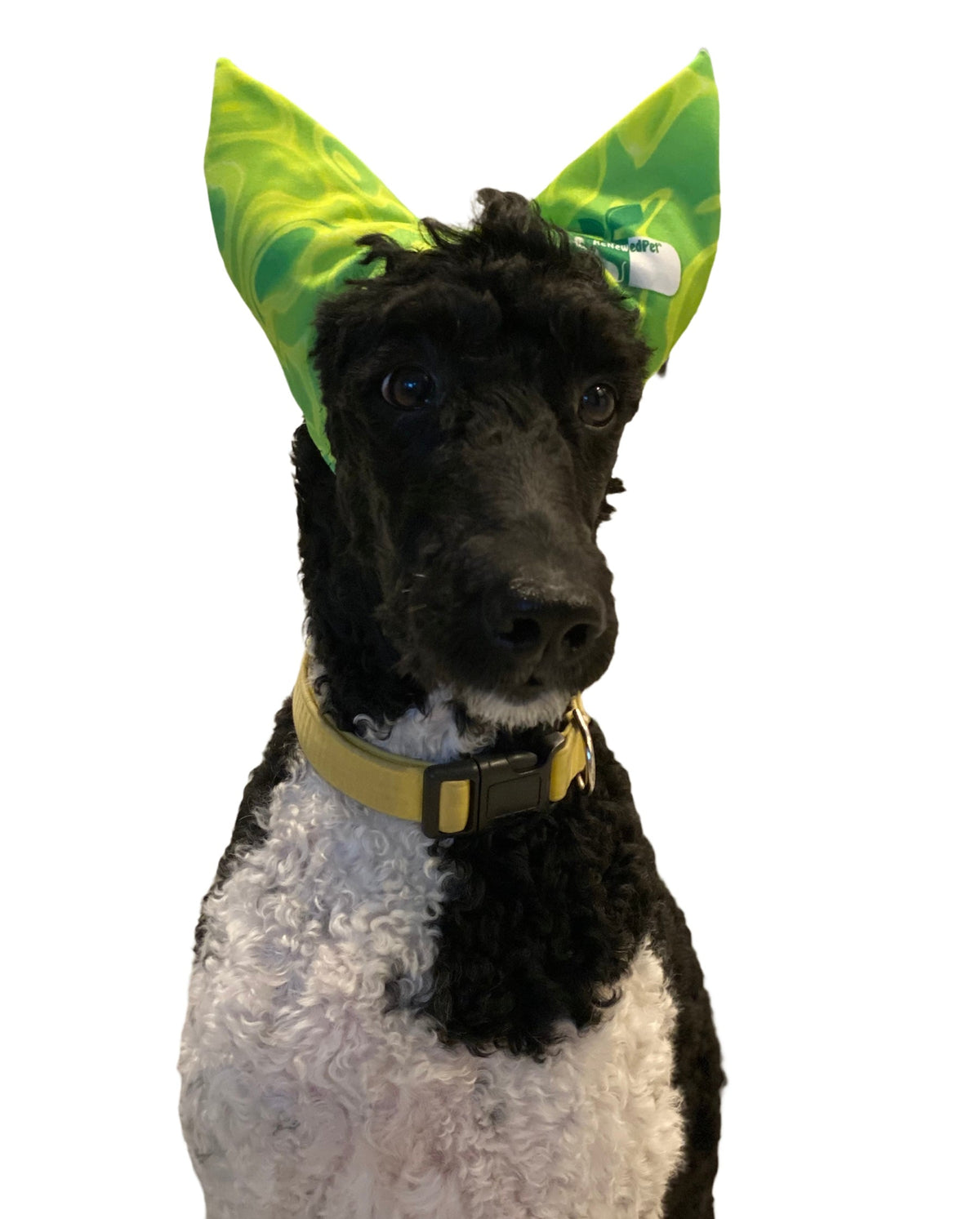 Pet Shower, Ear & Sun Cap