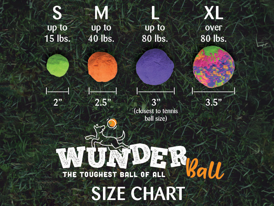 WUNDERball Fetch Toy for Dogs