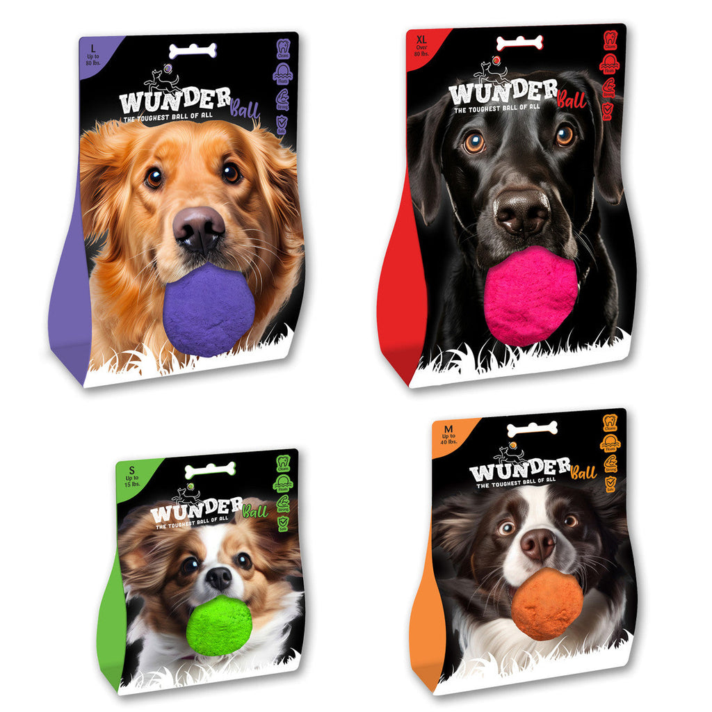 WUNDERball Fetch Toy for Dogs