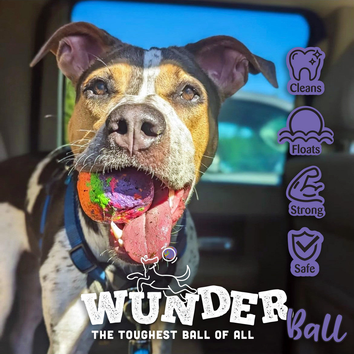 WUNDERball Fetch Toy for Dogs