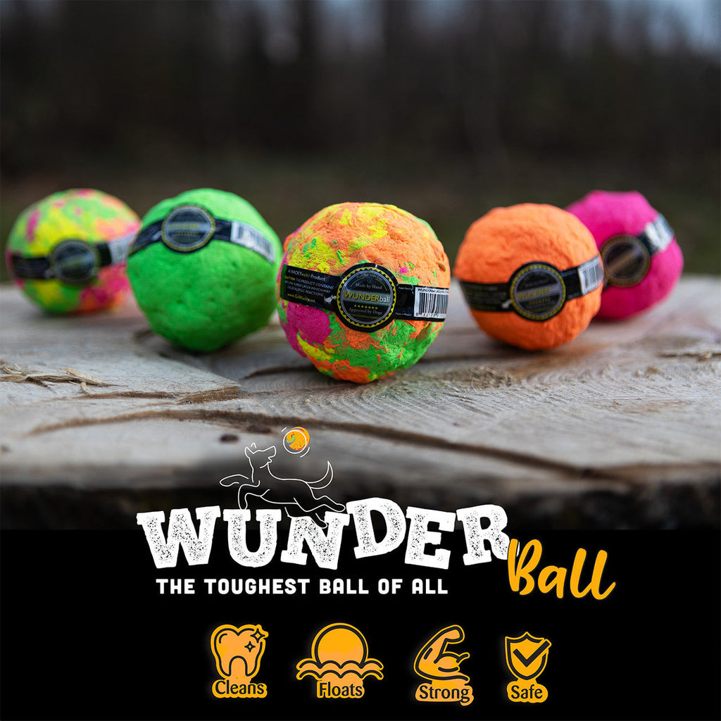 WUNDERball Fetch Toy for Dogs