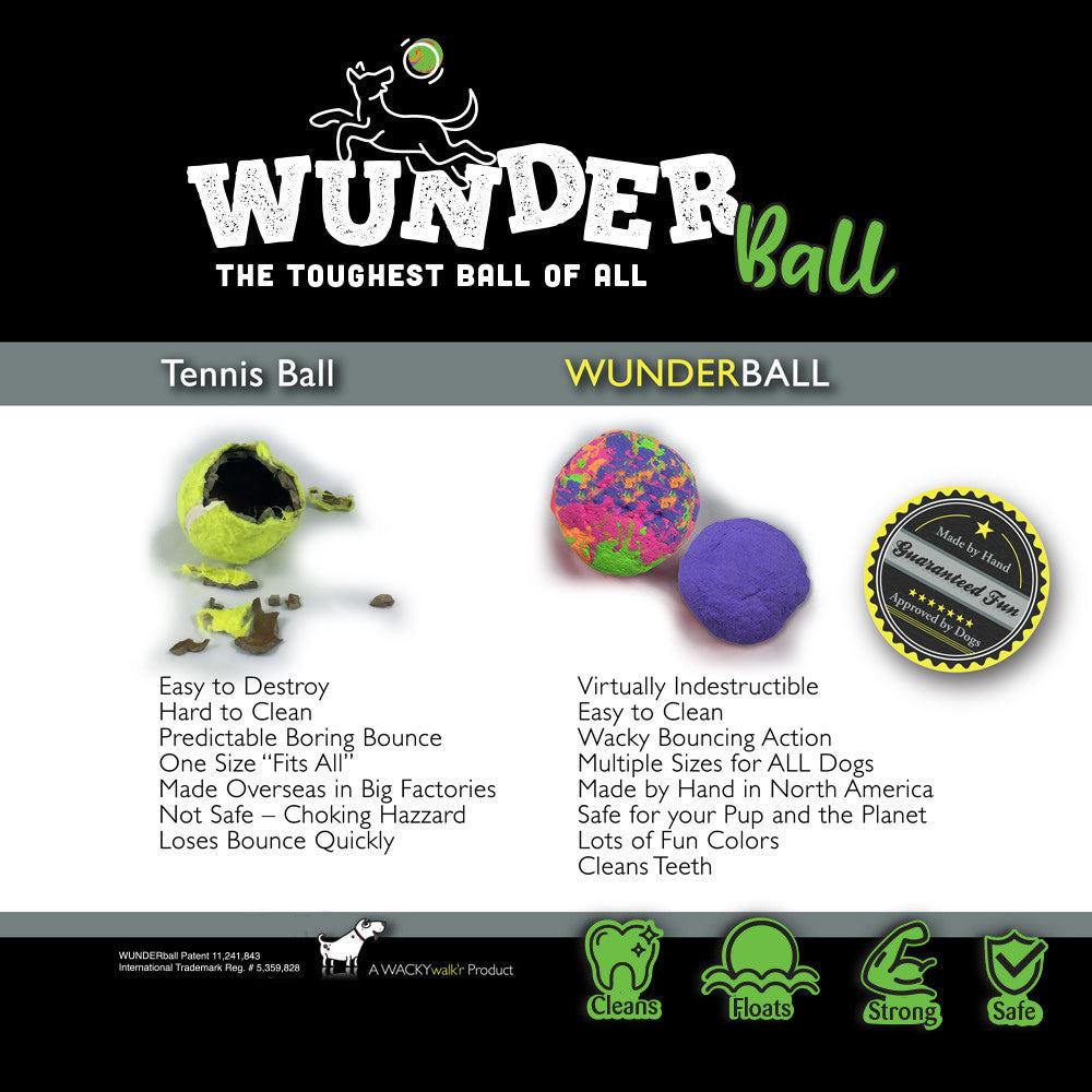 WUNDERball Fetch Toy for Dogs