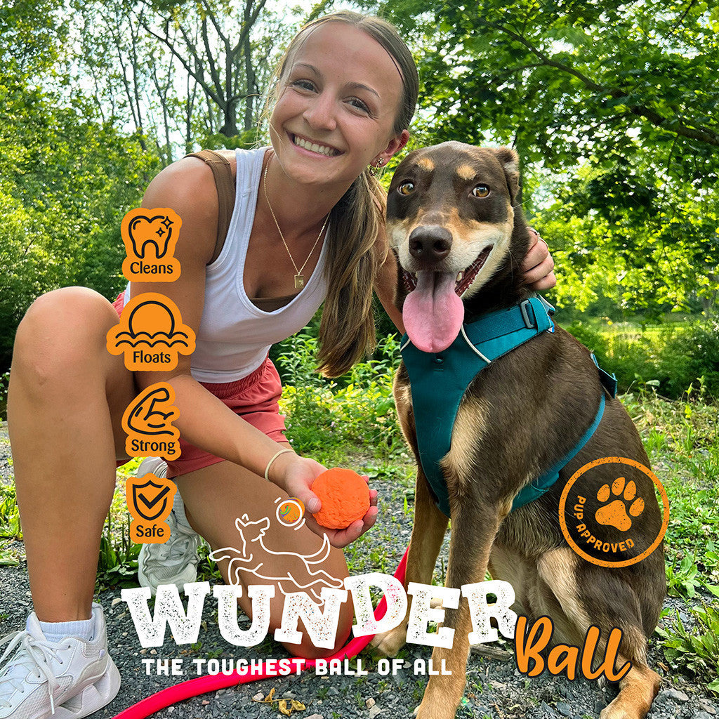 WUNDERball Fetch Toy for Dogs