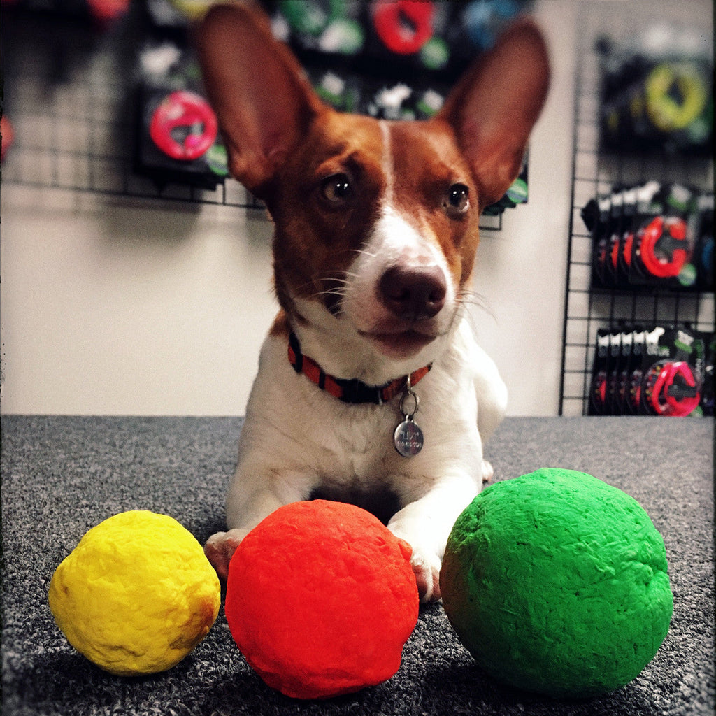 WUNDERball Fetch Toy for Dogs